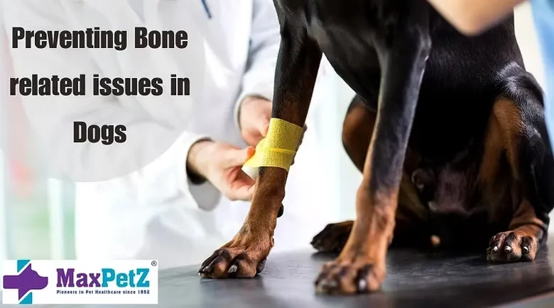 Preventing bone related issues in dogs
